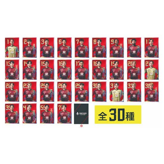 プレーヤーズメタリックカード（ブラインド販売）