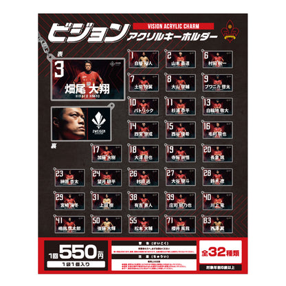 選手紹介ビジョンキーホルダー
